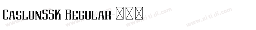 CaslonSSK Regular字体转换 CaslonSSK Regular字体转换